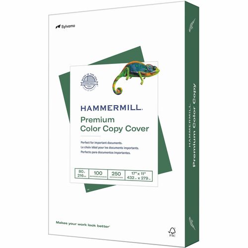 Paper, Cover, 17x11, White 250/PK