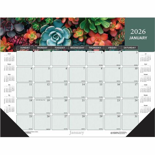 Desk Pad, Cyan, Succulent, 22 X 17