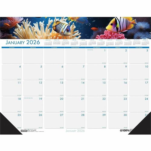 Pad, Desk, Sealife