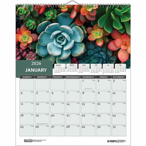 Wall Calendar, Cy, Succulent