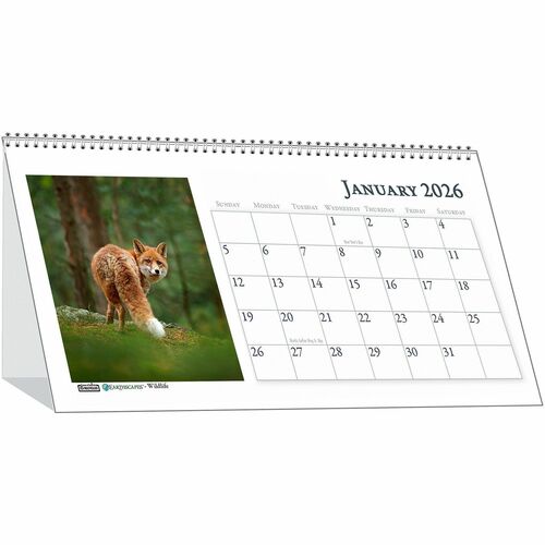 Calendar, Tent, Wildlife