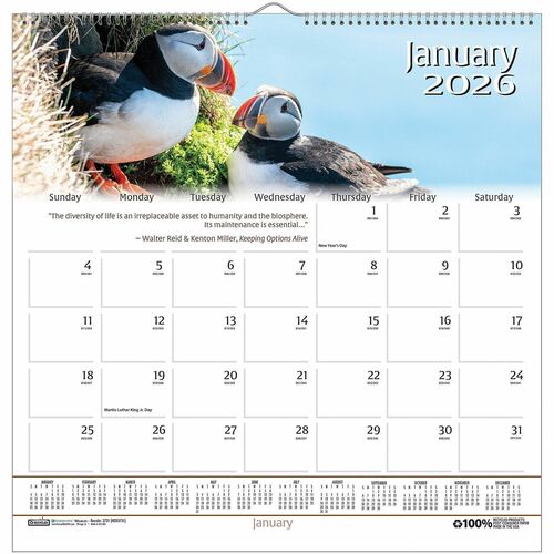 Calendar, Wall, Wildlife
