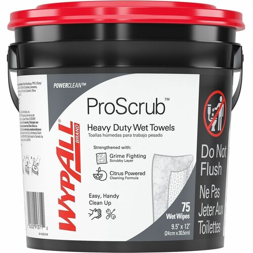 Wipes, Cleaning, Waterless 6/CT