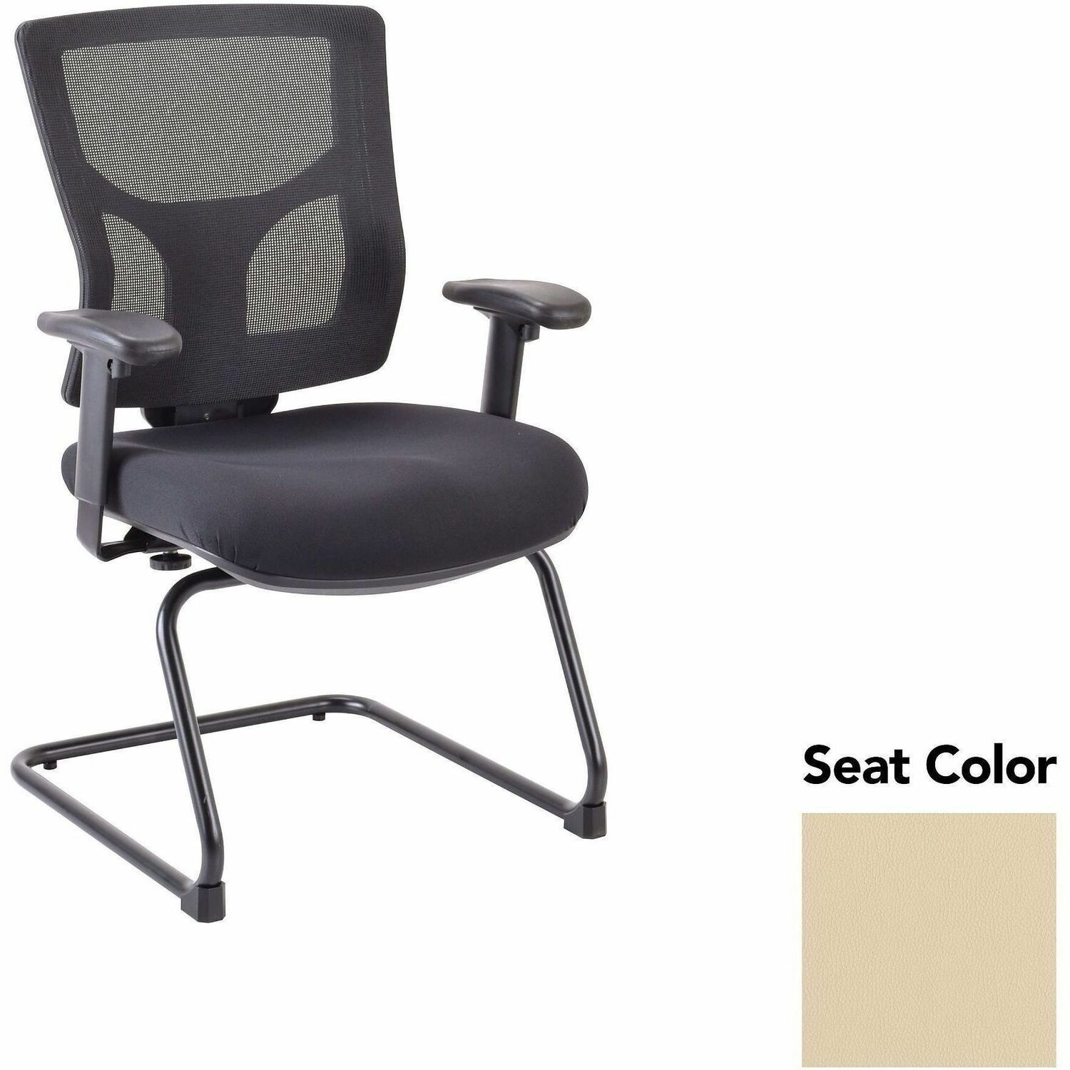 Chair, Guest, Buff