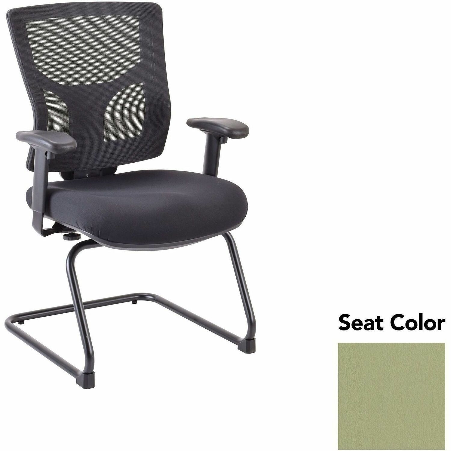 Chair, Guest, Sage