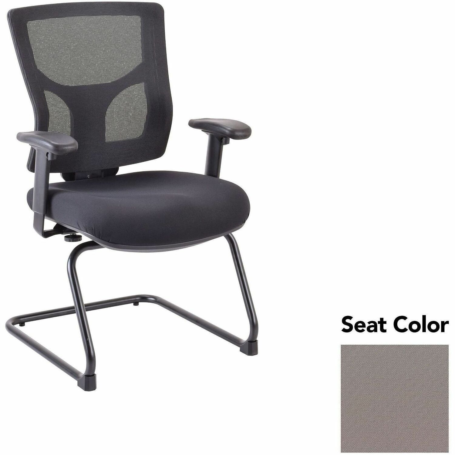 Chair, Guest, Fossil