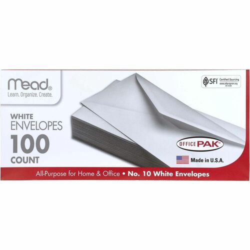 Envelope, #10, We 100/BX
