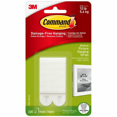 Strip, Hanging, Picture, Medium, White 6/BG
