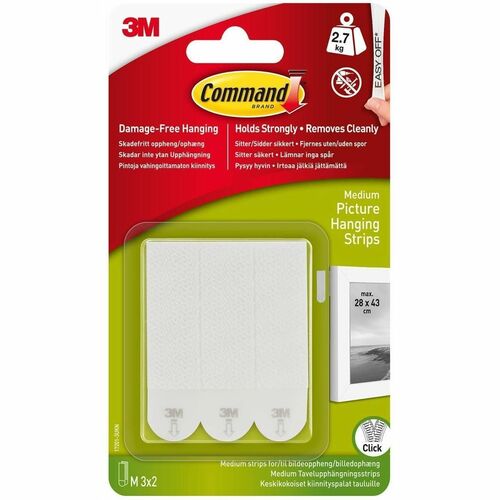 Strip, Picture Hanging, 50, White 50/CT