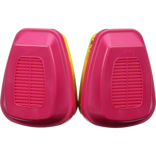 Cartridge, Org Vapor Acid Filter 2/BG