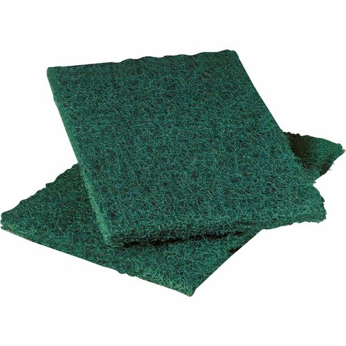 Pad, Scouring 12/DZ