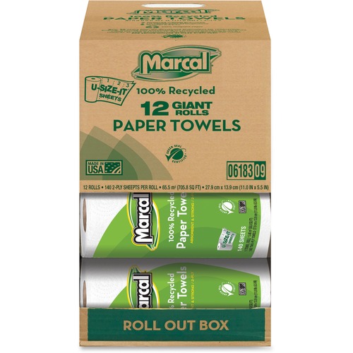 Towel, Paper, Use It 12/CT