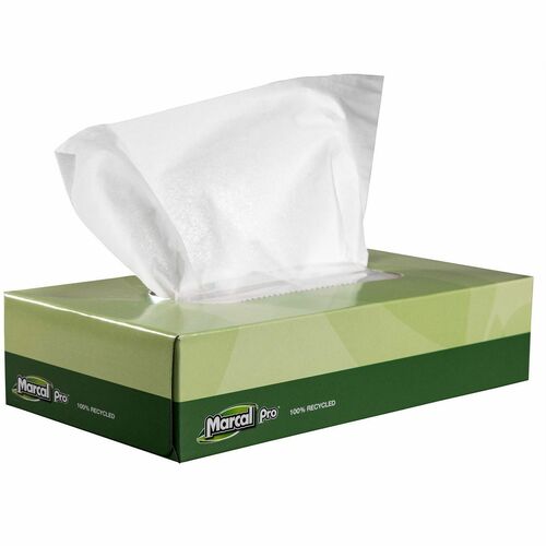 Tissue, Facial, 100 Sheets 30/CT