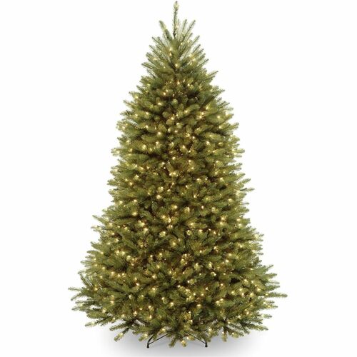 Tree, Dunhill Fir, Dled, 7 Foot