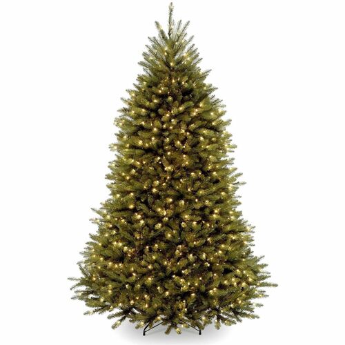 Tree, Dunhill Fir, WC, 6 Foot