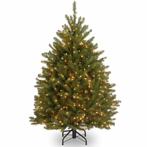 Tree, Dunhill Fir, WC, 4.5 Foot
