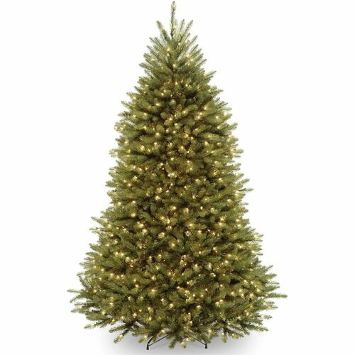 Tree, Dunhill Fir, WC, 7 Foot