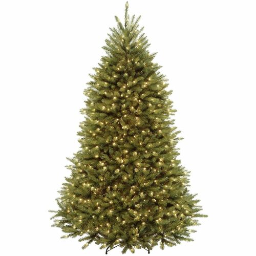 Tree, Dunhill Fir, Dled, 7.5 Foot