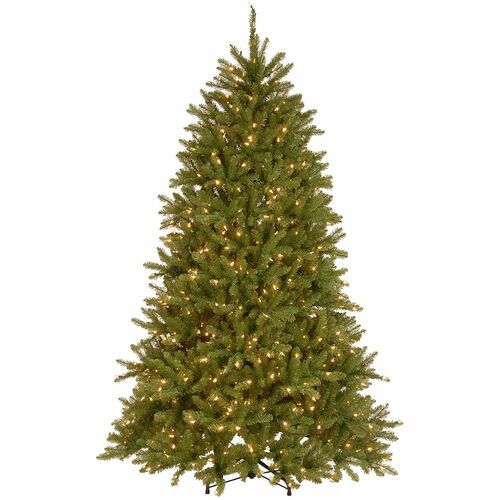 Tree, Dunhill Fir, Dled, 6.5 Foot