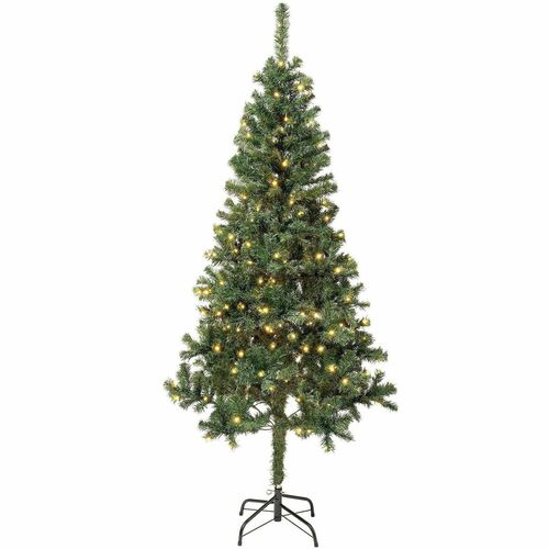 Tree, Linden, Wrapped, Wire Core, 6 Foot