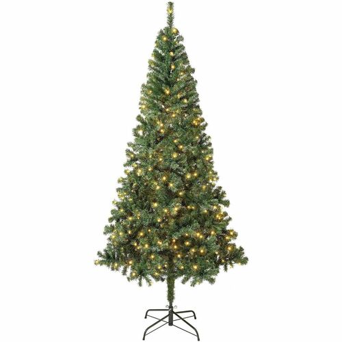 Tree, Linden, Wrapped, Weather-Resistant Coating, 7.5 Foot