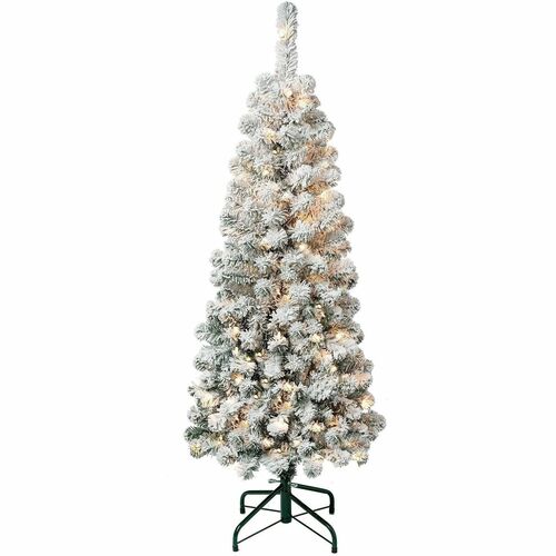 Tree, Acacia, S Flock, Wc, 4.5 Foot