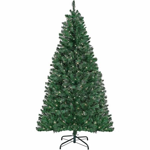 Tree, Acacia, Wood Core, 6 Foot