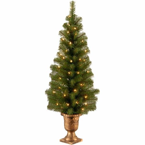 Tree, Montclair Entrance, Weatherproof Cover, 4 Foot