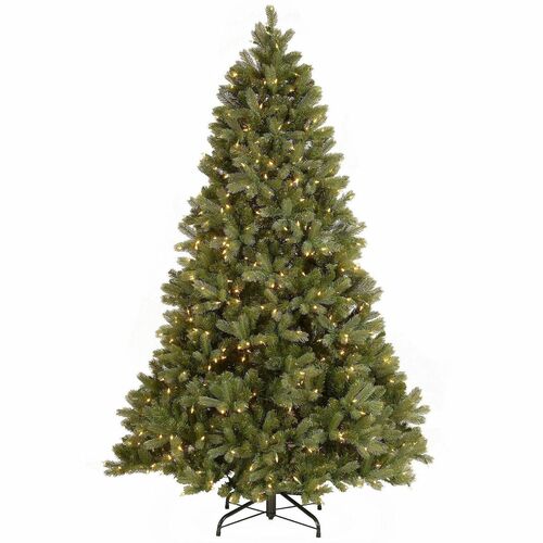 Tree, Douglas Fir, DLED, 7.5 Foot