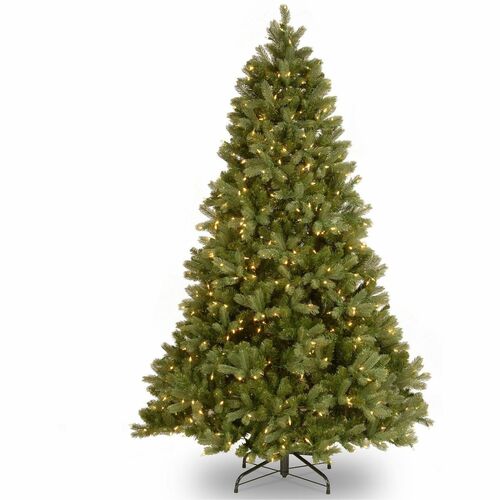 Tree, Douglas Fir, DLED, 6.5 Foot