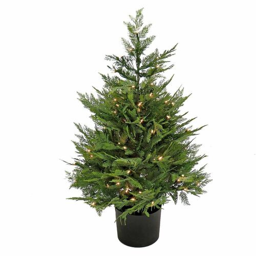 Tree, Cypress, In Pot, Wood Chip, 3 Foot