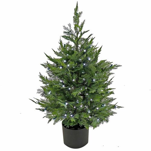 Tree, Cypress, Multi, 3 Foot