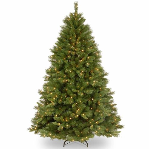 Tree, Winch Strap Pine, WC, 5 Foot
