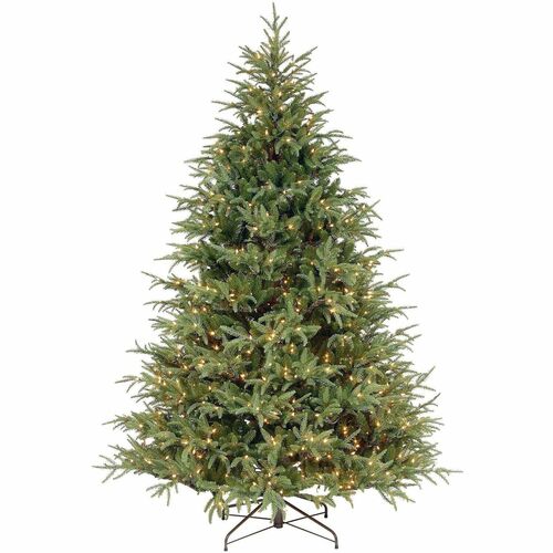 Tree, Frasier Grande, Water Clear, 7.5 Foot