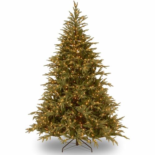 Tree, Frasier Grounded, Dipped LED, 7.5 Foot