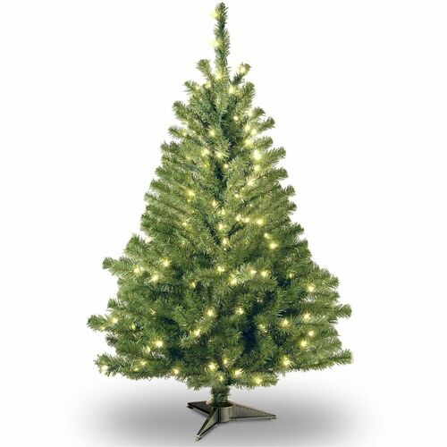 Tree, Kincaid Spruce, WC, 4 Foot