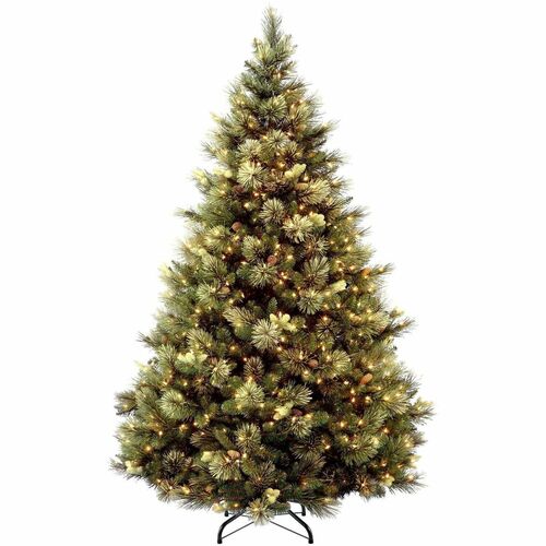 Tree, Carolina Pine, WC, 6.5 Foot