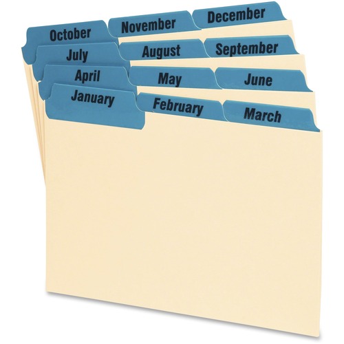 Guide, Card 4X6 Month, Be 12/ST
