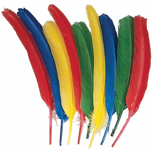 Feathers, Quill, Ast 24/PK