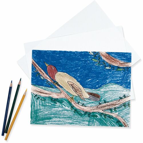 Paper, Drawing, 12x18, White 500/RM