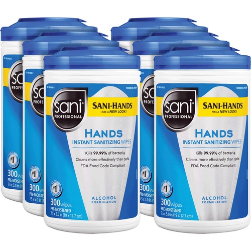 Professional Hand Sanitizing Wipes, 300 Wipes/Tub, WE 6/CT