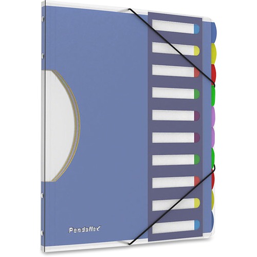 Sorter, Project, 10 Dividers, Multi