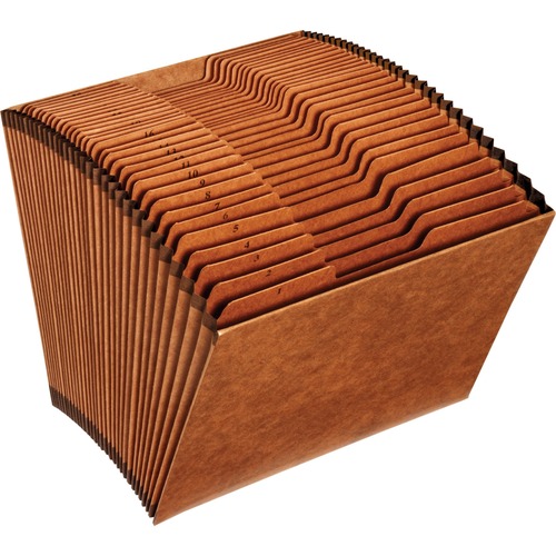File, 31 Pocket, Without Flaps, Letter