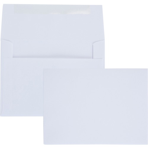 Envelope, Flap, #6, 24# 100/BX