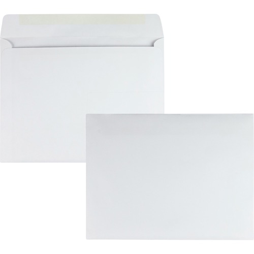Envelope, Booklet, 10x13, 100c 100/BX