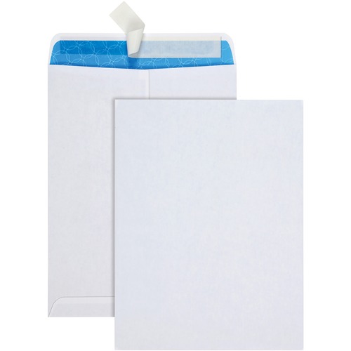 Envelope, Catalog, 9x12 100/BX