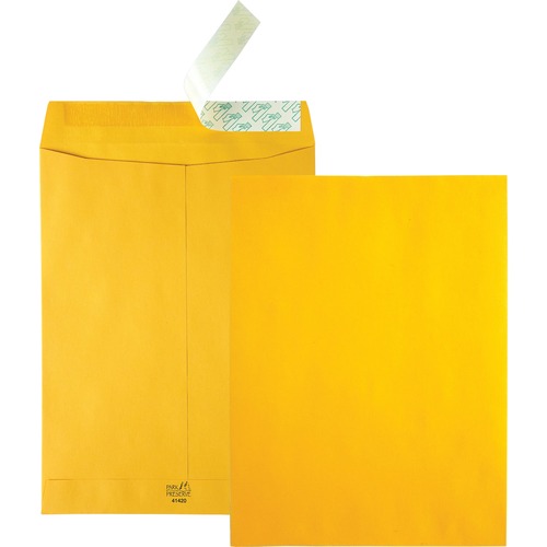 Envelope, Catalog, Redistrip, Kraft 250/CT