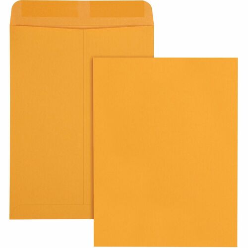 Envelope, Catalog, 9x12, Kraft 100/BX