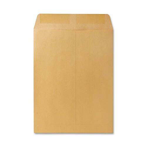 Catalog Mailing Envelopes, 9.5 x 12.5 250/BX