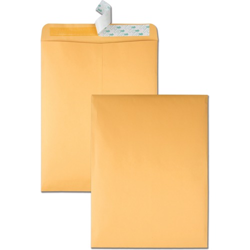 Envelope, Catalog, Redistrip, Kraft 250/CT